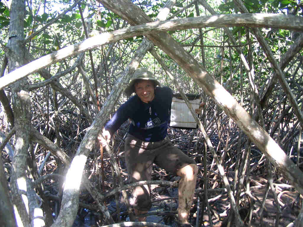 Helen in the mangroves