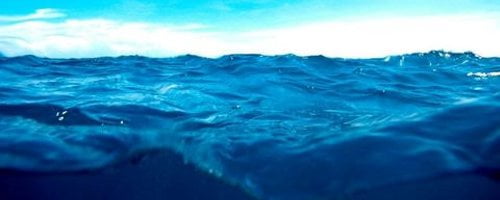 Wave_Header