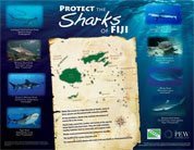 Fiji Shark Poster
