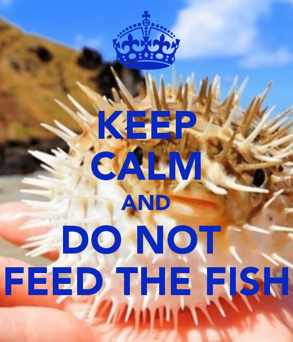 keep-calm-and-do-not-feed-the-fish