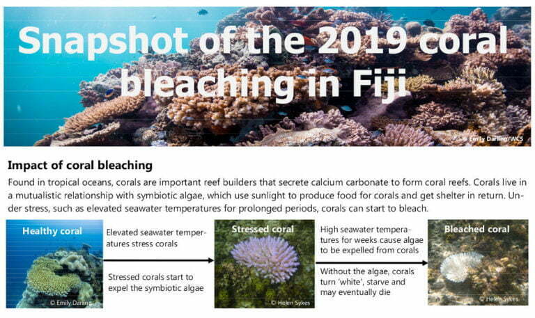 Snapshot of the 2019 coral bleaching in Fiji