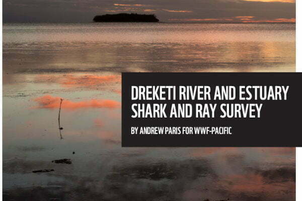 Dreketi River Estuary Shark and Ray Report