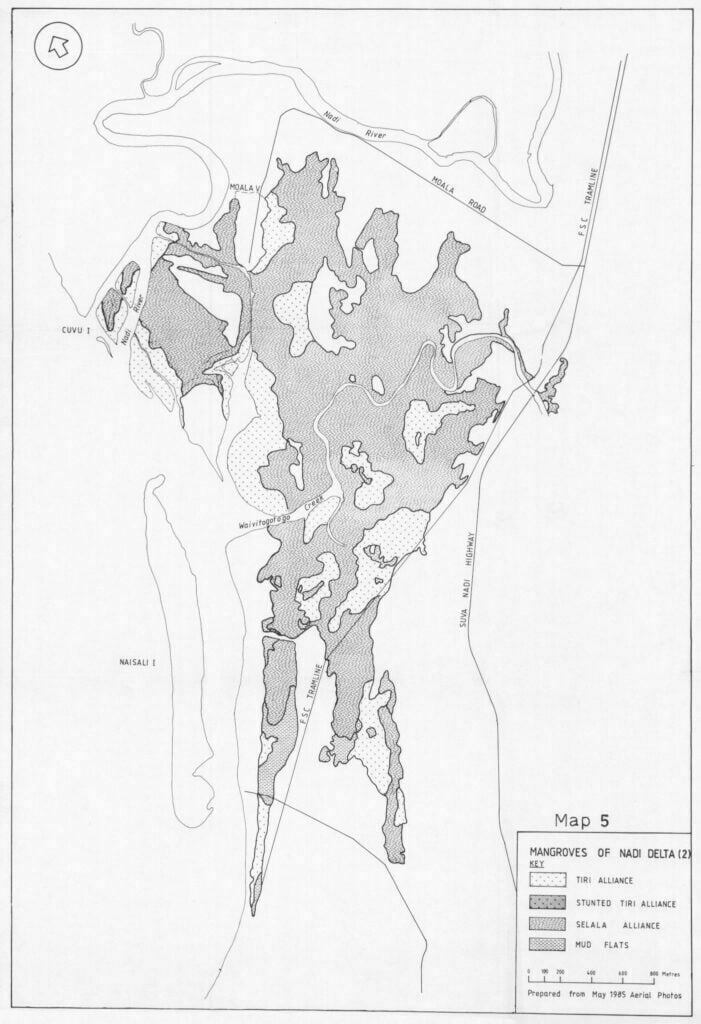 A Mangrove Management Plan for Fiji (Phase 2) โ 1985 โ marine ecology ...