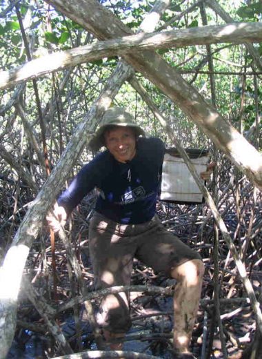 Helen in the mangroves Helen in the mangroves